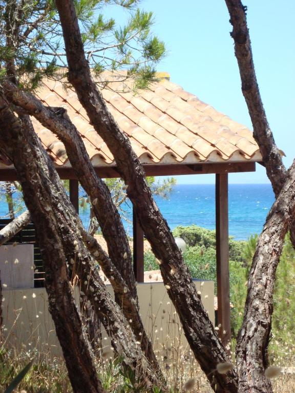 Camping Golfo Dell'Asinara Platamona Phòng bức ảnh