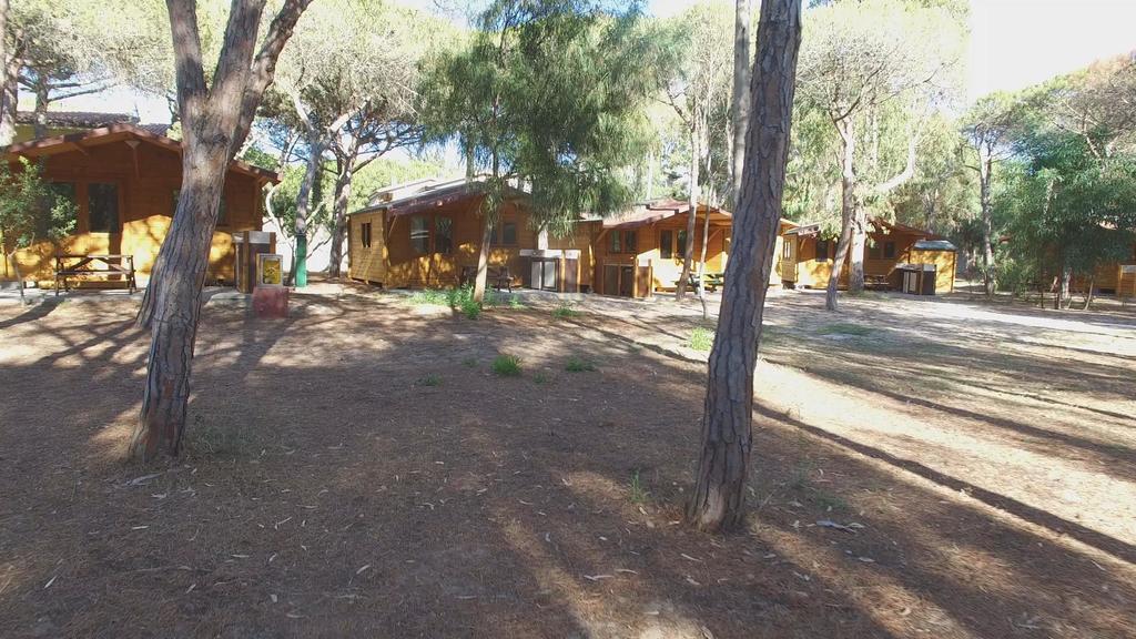 Camping Golfo Dell'Asinara Platamona Ngoại thất bức ảnh